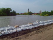 2006